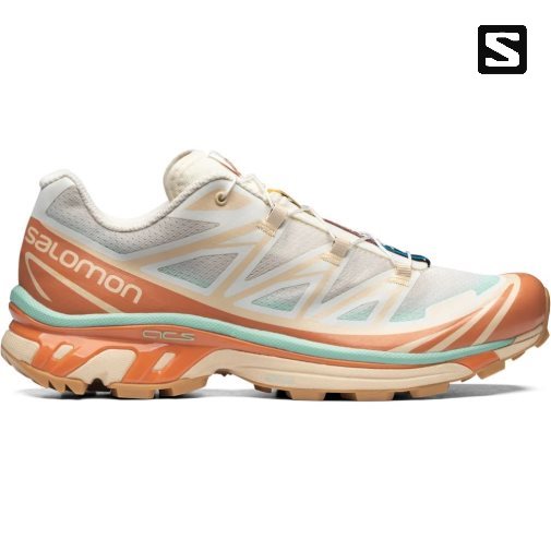 Tenis Salomon Xt-6 Skyline Feminino Multicoloridas | PT D34271